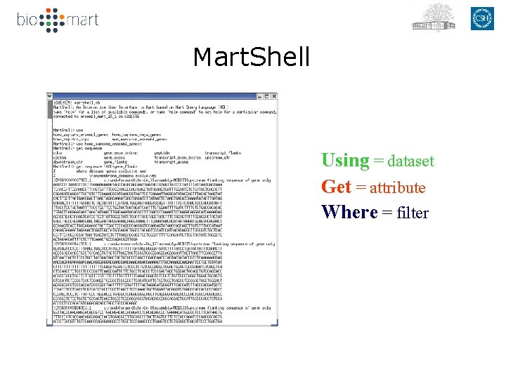 Mart. Shell Using = dataset Get = attribute Where = filter 