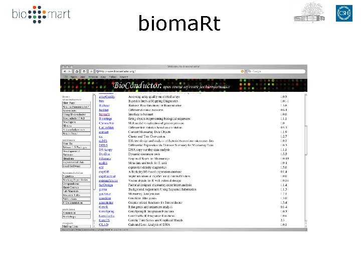 bioma. Rt 