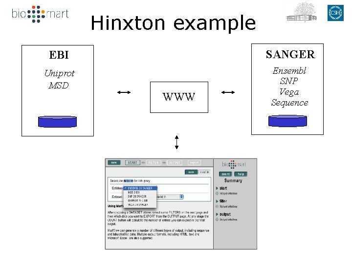 Hinxton example EBI SANGER Uniprot MSD Ensembl SNP Vega Sequence WWW 