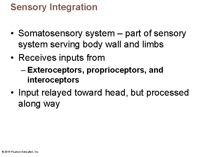 Sensory Integration • Somatosensory system – part of sensory system serving body wall and