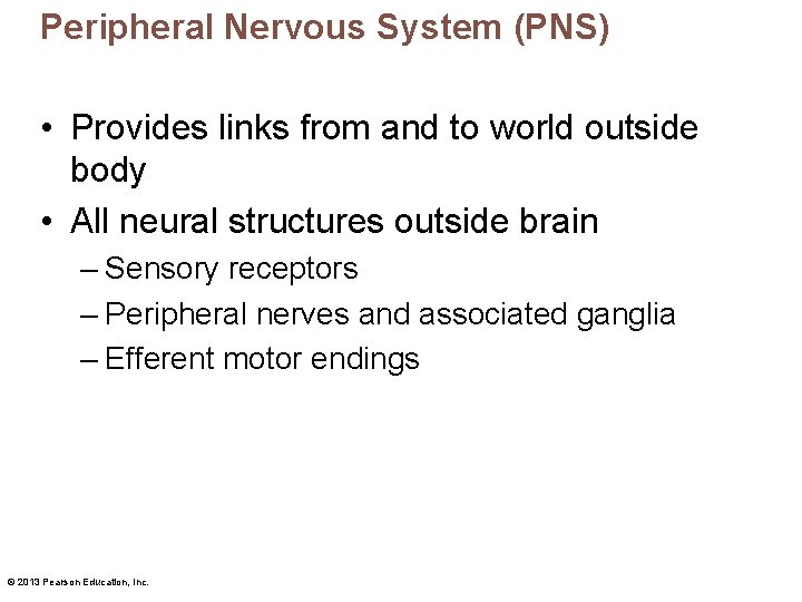 Peripheral Nervous System (PNS) • Provides links from and to world outside body •