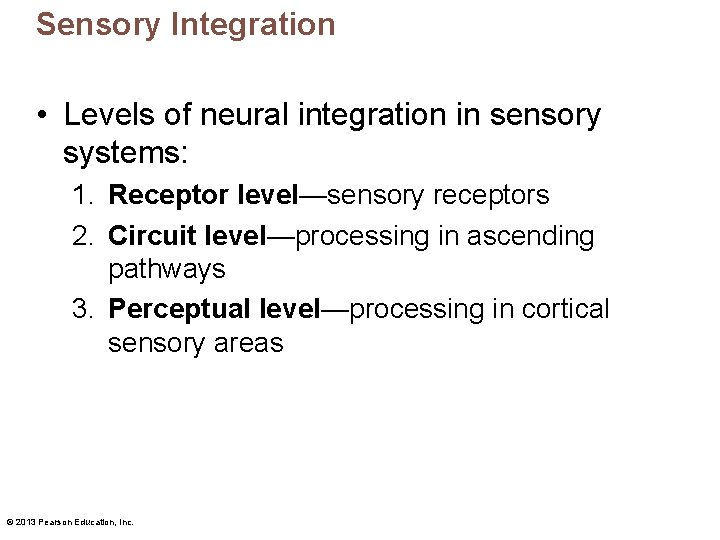 Sensory Integration • Levels of neural integration in sensory systems: 1. Receptor level—sensory receptors