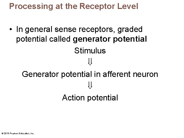 Processing at the Receptor Level • In general sense receptors, graded potential called generator