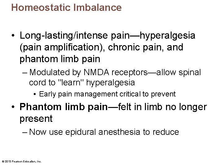 Homeostatic Imbalance • Long-lasting/intense pain—hyperalgesia (pain amplification), chronic pain, and phantom limb pain –