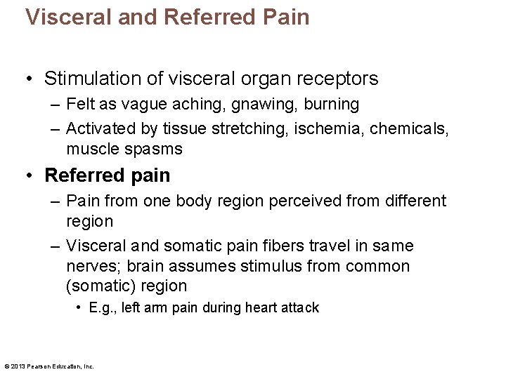 Visceral and Referred Pain • Stimulation of visceral organ receptors – Felt as vague