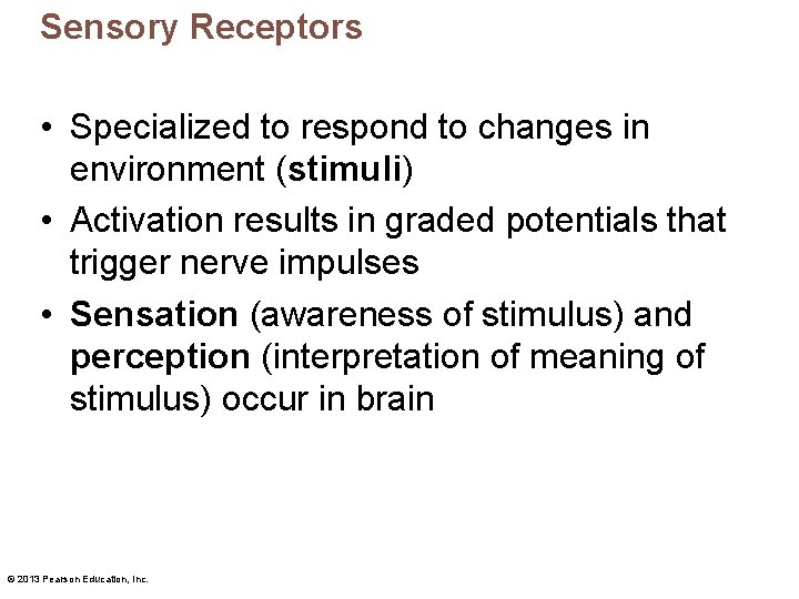 Sensory Receptors • Specialized to respond to changes in environment (stimuli) • Activation results