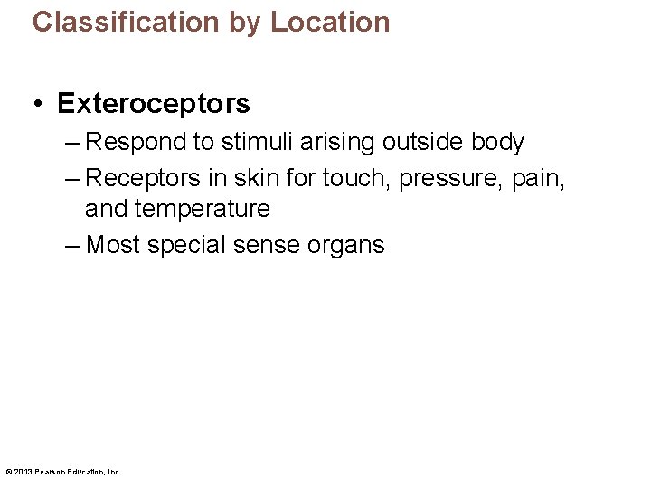 Classification by Location • Exteroceptors – Respond to stimuli arising outside body – Receptors