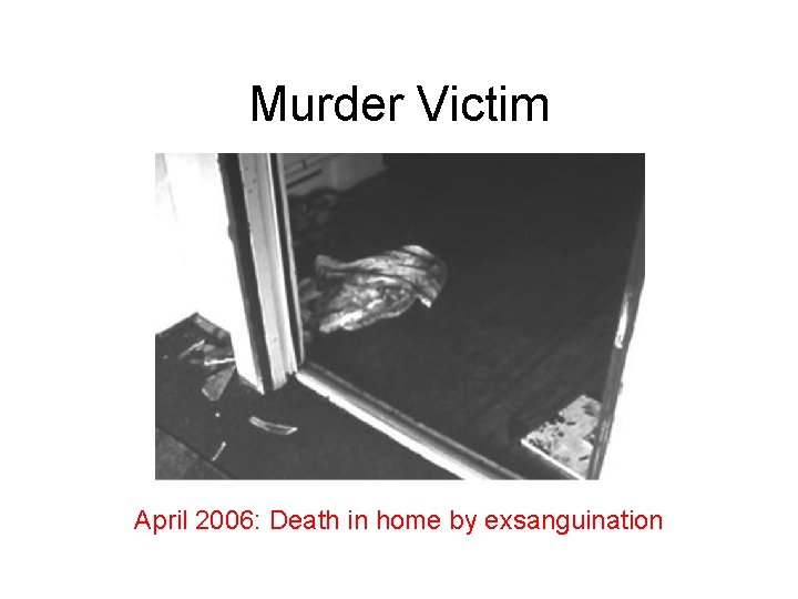 Murder Victim April 2006: Death in home by exsanguination 