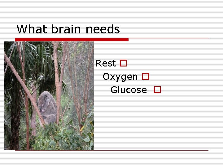 What brain needs Rest o Oxygen o Glucose o 