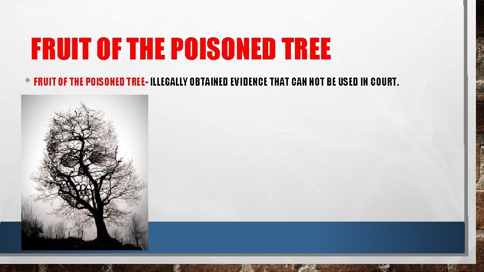 FRUIT OF THE POISONED TREE • FRUIT OF THE POISONED TREE- ILLEGALLY OBTAINED EVIDENCE