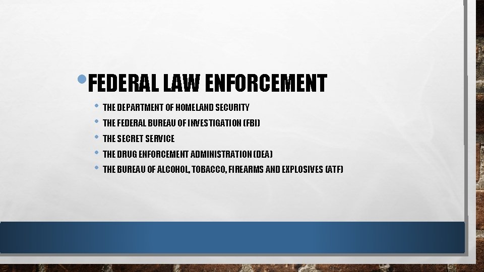  • FEDERAL LAW ENFORCEMENT • THE DEPARTMENT OF HOMELAND SECURITY • THE FEDERAL