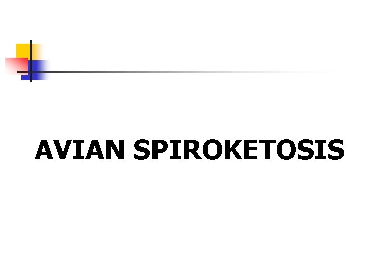 AVIAN SPIROKETOSIS 