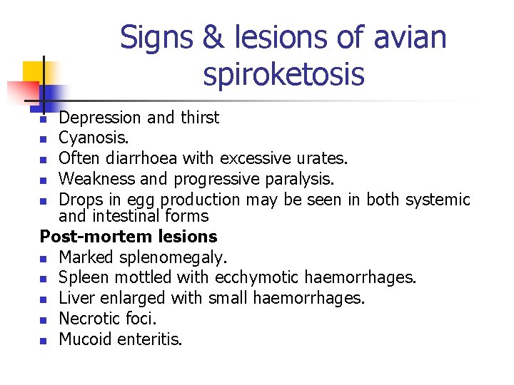 Signs & lesions of avian spiroketosis Depression and thirst n Cyanosis. n Often diarrhoea