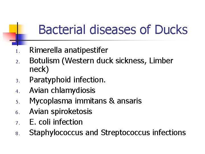 Bacterial diseases of Ducks 1. 2. 3. 4. 5. 6. 7. 8. Rimerella anatipestifer