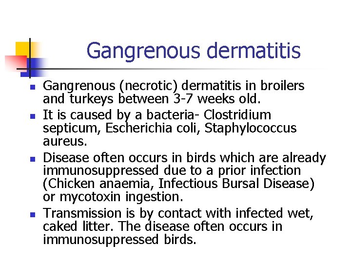 Gangrenous dermatitis n n Gangrenous (necrotic) dermatitis in broilers and turkeys between 3 -7