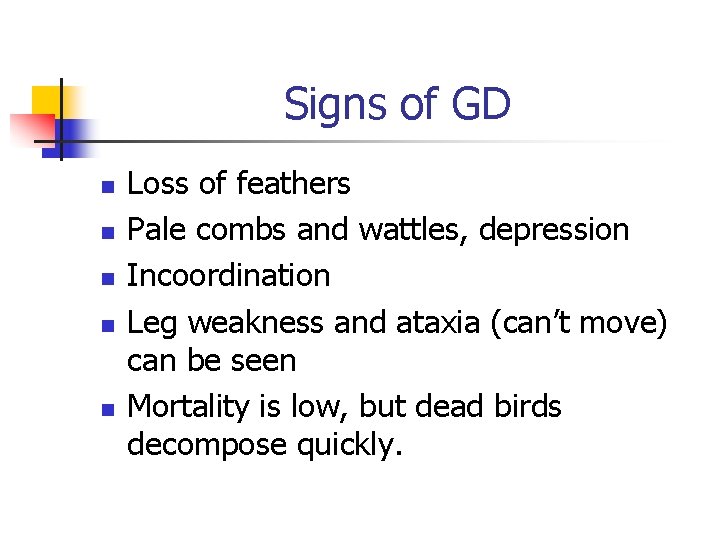 Signs of GD n n n Loss of feathers Pale combs and wattles, depression