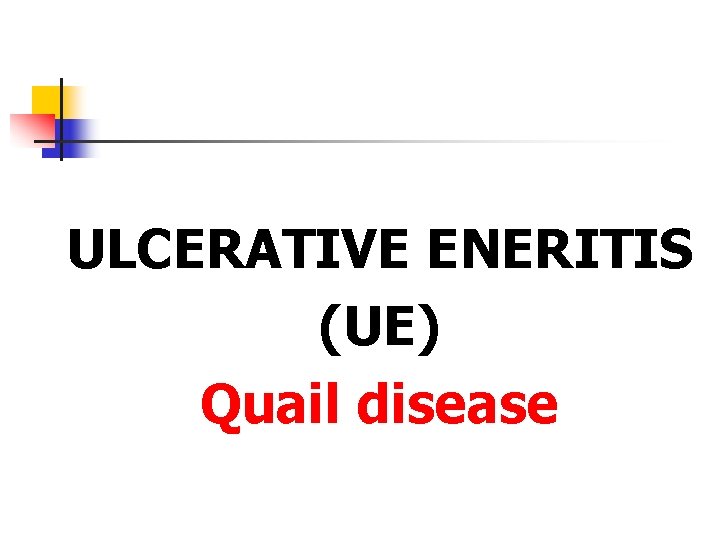 ULCERATIVE ENERITIS (UE) Quail disease 