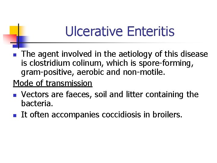 Ulcerative Enteritis The agent involved in the aetiology of this disease is clostridium colinum,