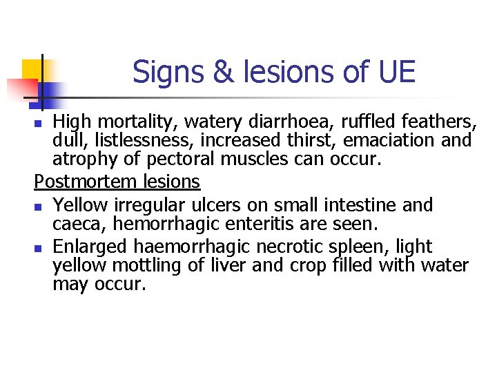 Signs & lesions of UE High mortality, watery diarrhoea, ruffled feathers, dull, listlessness, increased