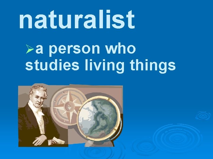 naturalist Øa person who studies living things 