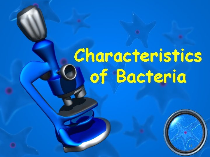 Characteristics of Bacteria 14 