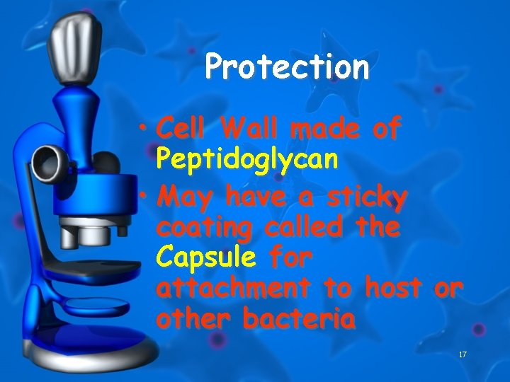 Protection • Cell Wall made of Peptidoglycan • May have a sticky coating called