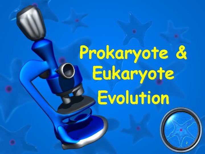 Prokaryote & Eukaryote Evolution 2 