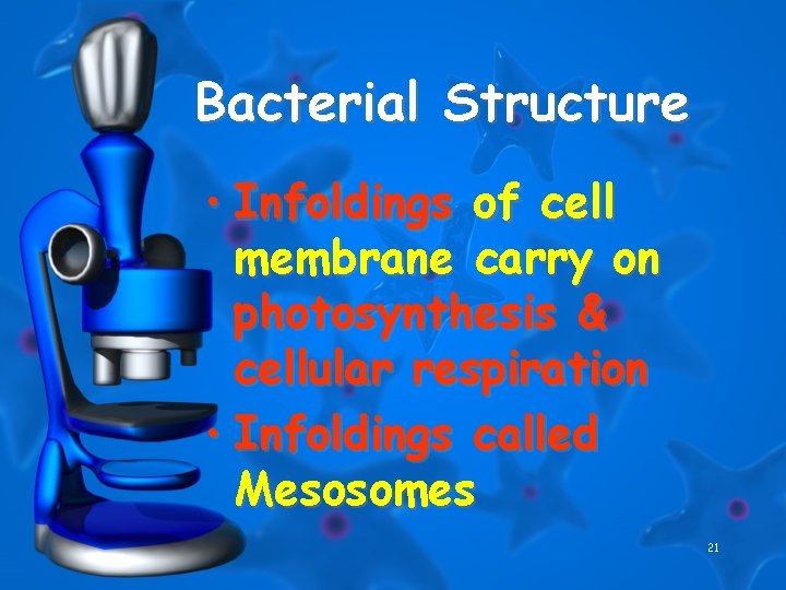 Bacterial Structure • Infoldings of cell membrane carry on photosynthesis & cellular respiration •