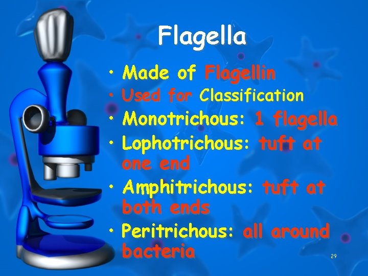 Flagella • Made of Flagellin • Used for Classification • Monotrichous: 1 flagella •