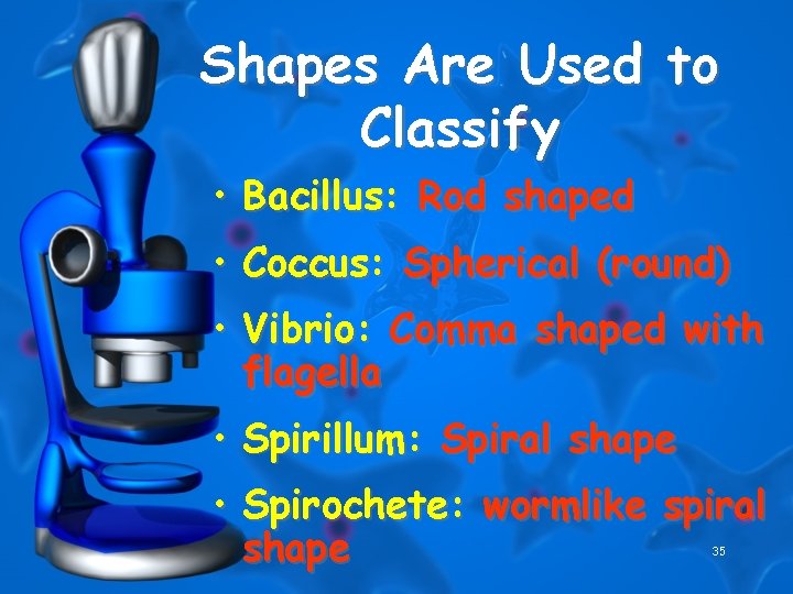 Shapes Are Used to Classify • Bacillus: Rod shaped • Coccus: Spherical (round) •