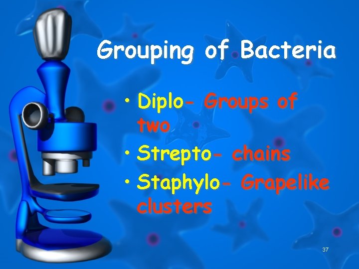 Grouping of Bacteria • Diplo- Groups of two • Strepto- chains • Staphylo- Grapelike