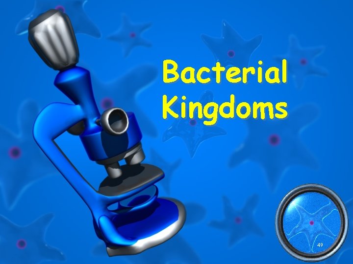 Bacterial Kingdoms 49 