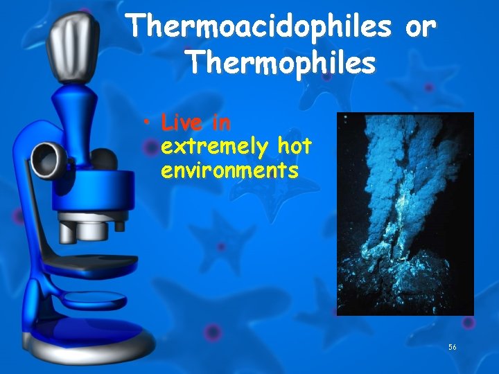 Thermoacidophiles or Thermophiles • Live in extremely hot environments 56 