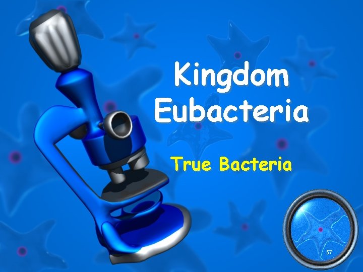 Kingdom Eubacteria True Bacteria 57 