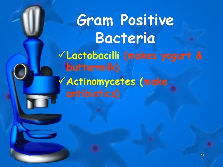 Gram Positive Bacteria ü Lactobacilli (makes yogurt & buttermilk) ü Actinomycetes (make antibiotics) 61