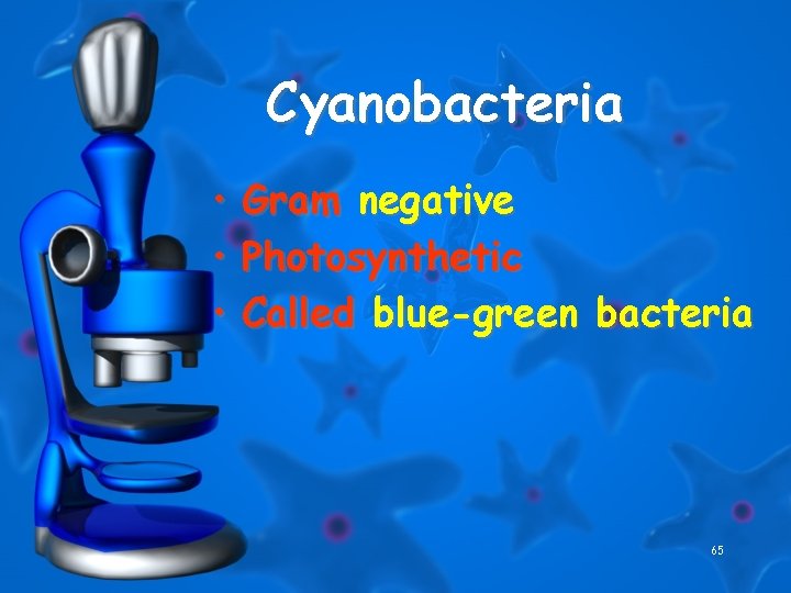 Cyanobacteria • Gram negative • Photosynthetic • Called blue-green bacteria 65 