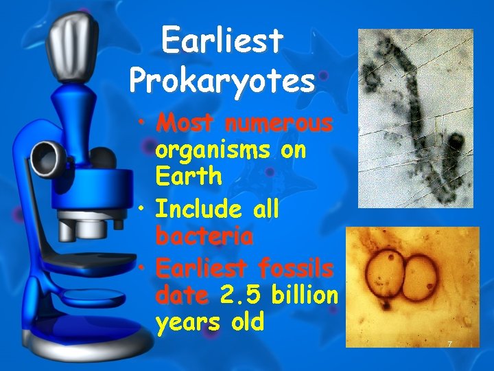 Earliest Prokaryotes • Most numerous organisms on Earth • Include all bacteria • Earliest
