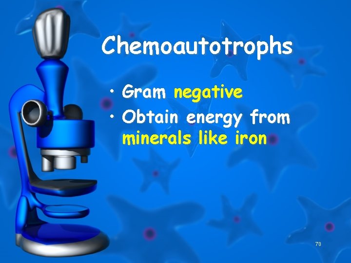 Chemoautotrophs • • Gram negative Obtain energy from minerals like iron 70 