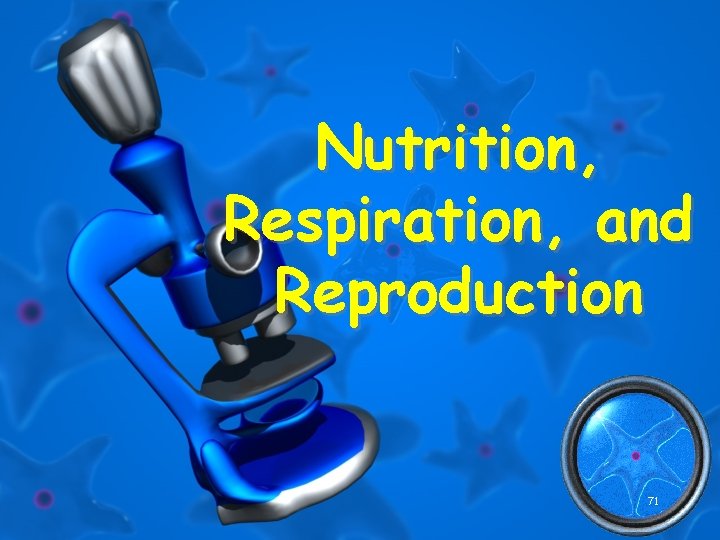 Nutrition, Respiration, and Reproduction 71 