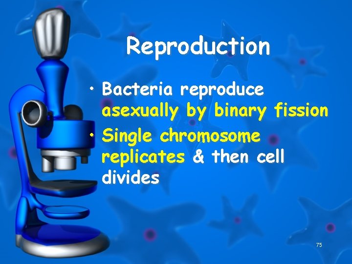 Reproduction • Bacteria reproduce asexually by binary fission • Single chromosome replicates & then