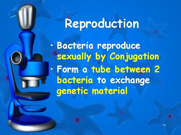 Reproduction • Bacteria reproduce sexually by Conjugation • Form a tube between 2 bacteria