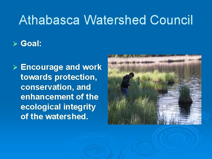 Athabasca Watershed Council Ø Goal: Ø Encourage and work towards protection, conservation, and enhancement