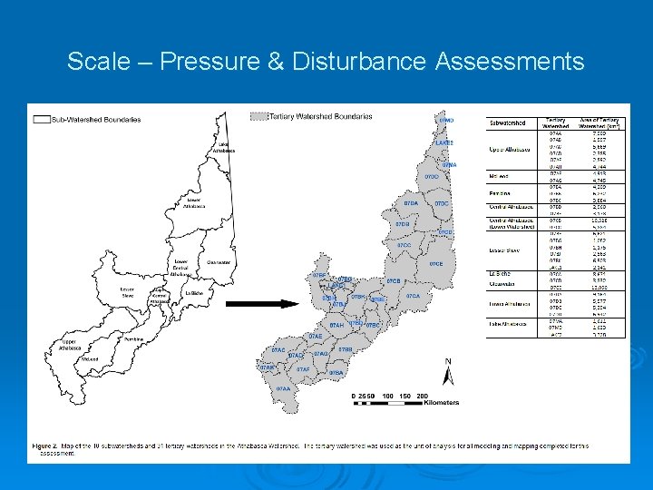 Scale – Pressure & Disturbance Assessments 