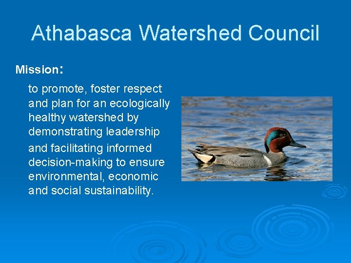 Athabasca Watershed Council Mission: to promote, foster respect and plan for an ecologically healthy