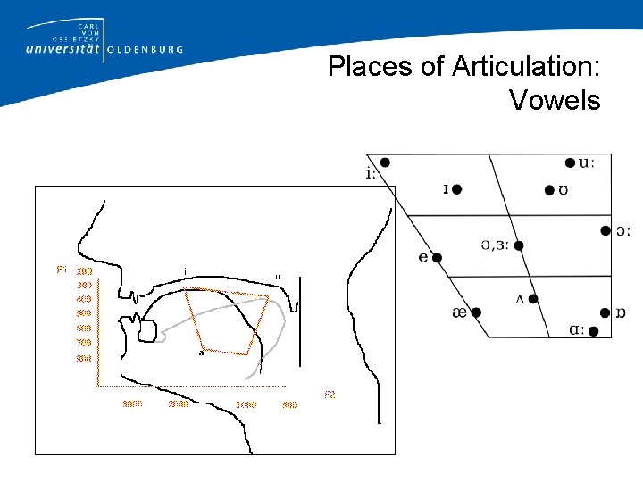 Places of Articulation: Vowels 