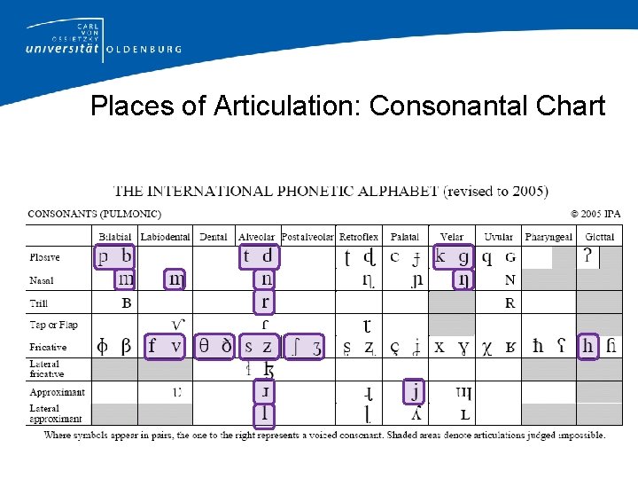 Places of Articulation: Consonantal Chart 