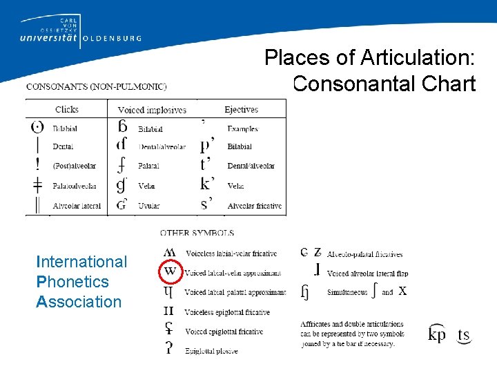 Places of Articulation: Consonantal Chart International Phonetics Association 