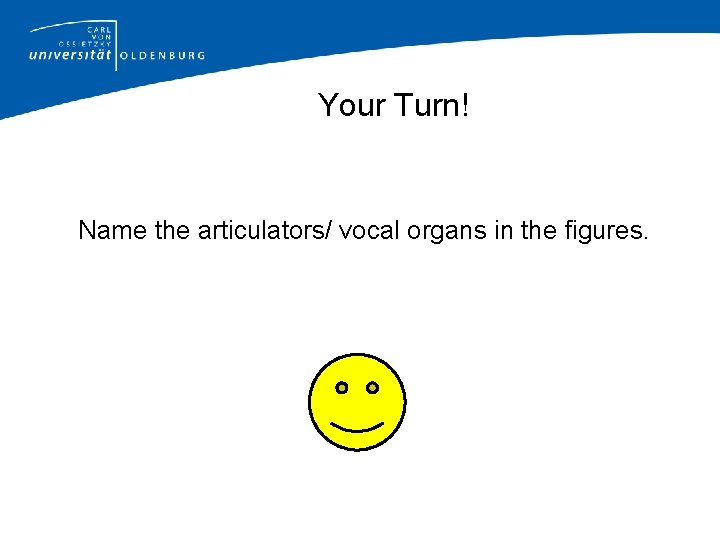 Your Turn! Name the articulators/ vocal organs in the figures. 