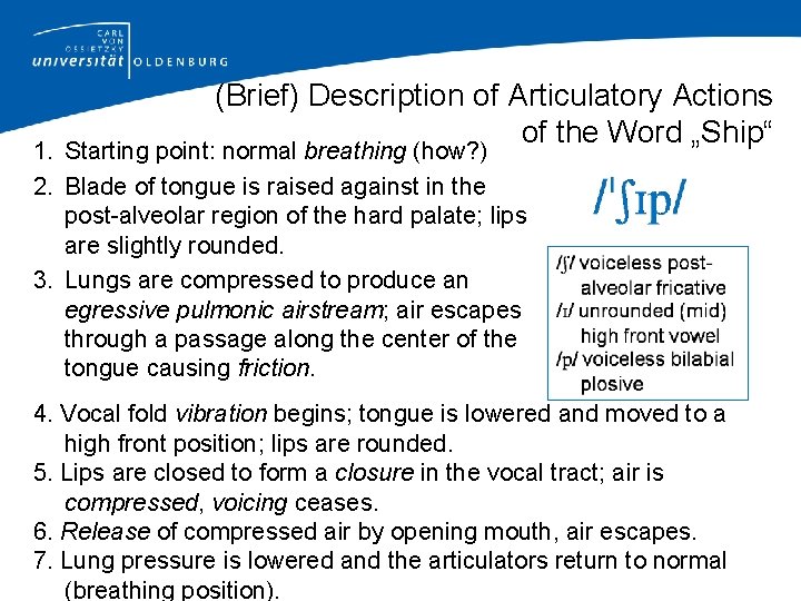 (Brief) Description of Articulatory Actions of the Word „Ship“ 1. Starting point: normal breathing