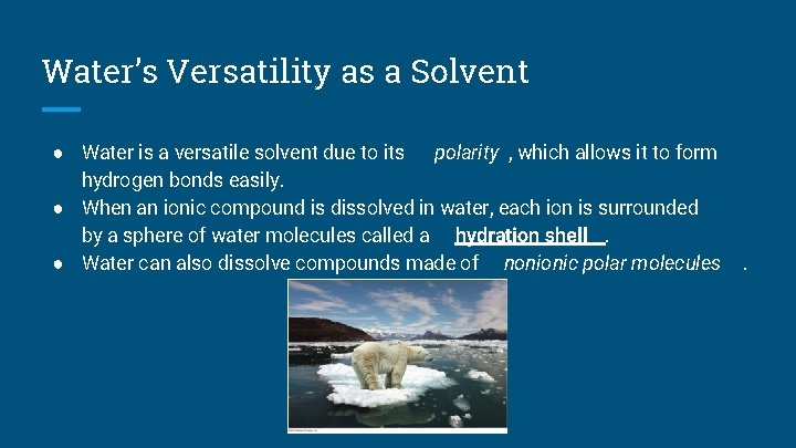 Water’s Versatility as a Solvent ● Water is a versatile solvent due to its